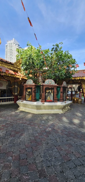 Penang Wesak Day 2025