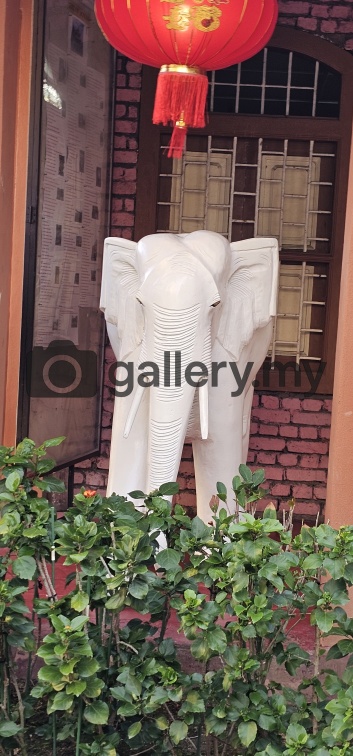 Penang Wesak Day 2025